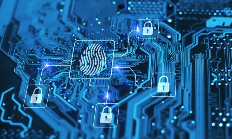 金州区小程序开发公司实力比拼:从案例口碑到技术交付的深度测评